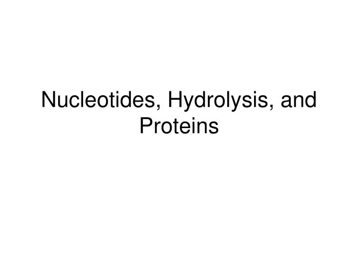 nucleotides hydrolysis and proteins