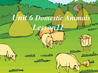 Unit 6 Domestic Animals Lesson11