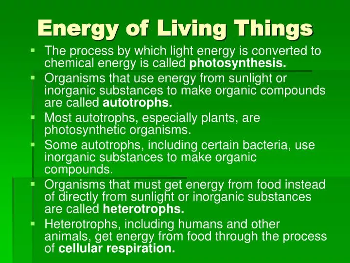 energy of living things