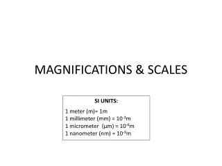 MAGNIFICATIONS &amp; SCALES