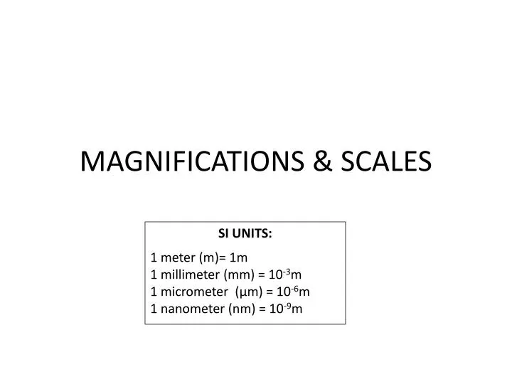 magnifications scales