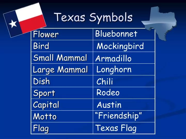 texas symbols