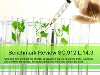 benchmark review sc 912 l 14 3