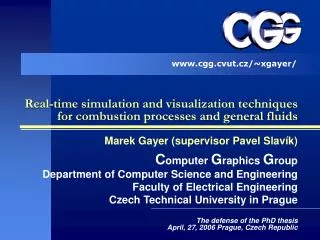 Real-time simulation and visualization techniques for combustion processes and general fluids