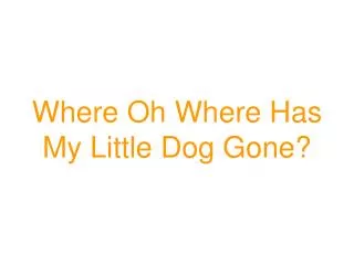 Where Oh Where Has My Little Dog Gone?