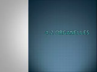 4.2 Organelles