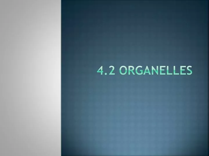 4 2 organelles