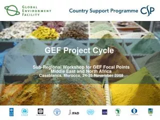 gef project cycle