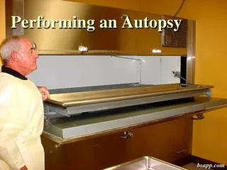Performing an Autopsy