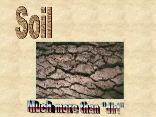 Soil