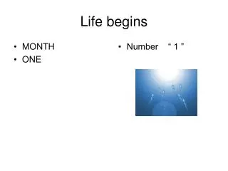 Life begins