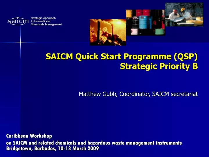 saicm quick start programme qsp strategic priority b matthew gubb coordinator saicm secretariat