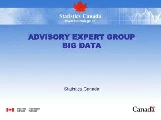 Advisory Expert Group Big Data