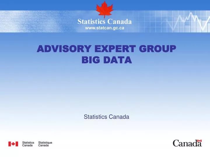 advisory expert group big data