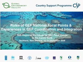 roles of gef national focal points experiences in gef coordination and integration