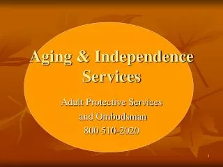 Aging &amp; Independence Services