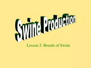 Lesson 2: Breeds of Swine