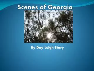 Scenes of Georgia