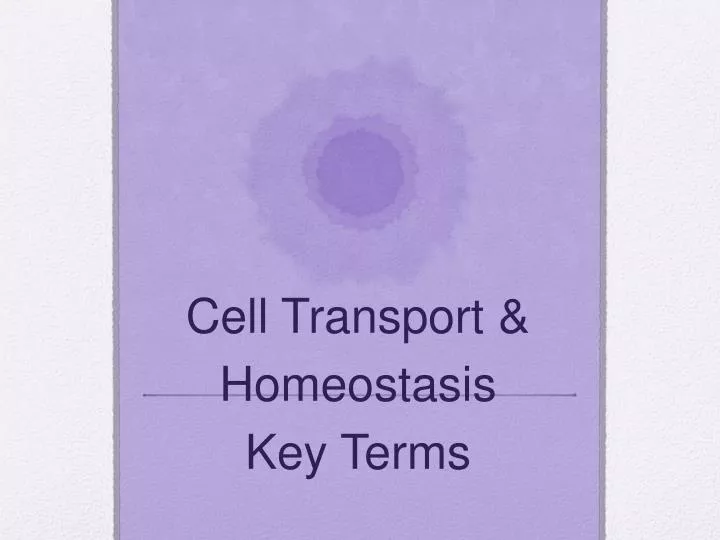cell transport homeostasis key terms