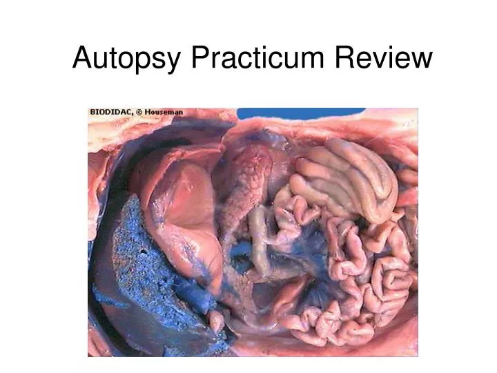 autopsy practicum review