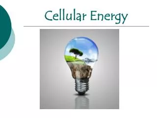 Cellular Energy