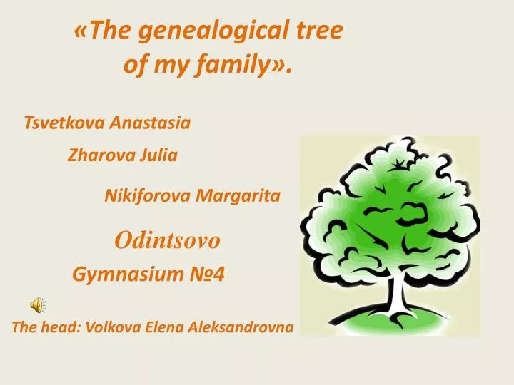 the genealogical tree of my family