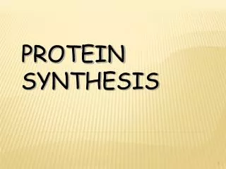 PROTEIN SYNTHESIS