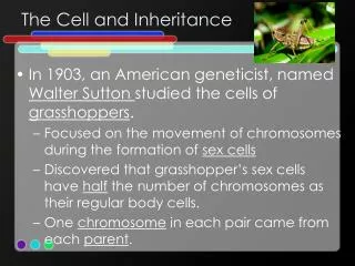 The Cell and Inheritance