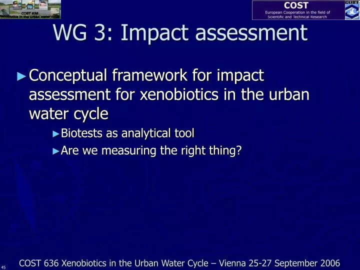 wg 3 impact assessment