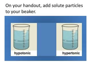 On your handout, add solute particles to your beaker.