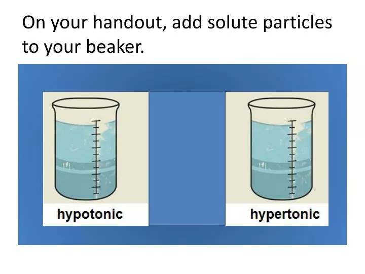 on your handout add solute particles to your beaker
