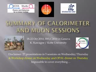 Summary of Calorimeter and Muon sessions