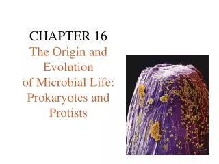 CHAPTER 16 The Origin and Evolution of Microbial Life: Prokaryotes and Protists
