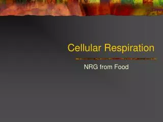 Cellular Respiration