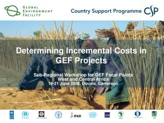 Determining Incremental Costs in GEF Projects