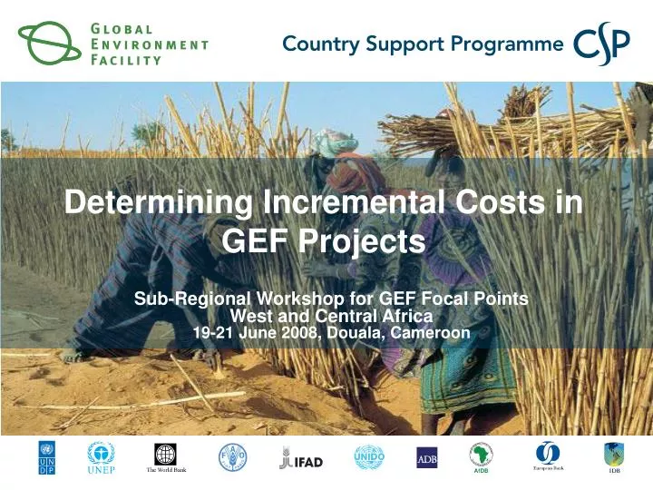 determining incremental costs in gef projects