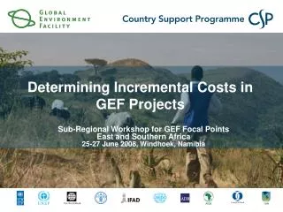 Determining Incremental Costs in GEF Projects