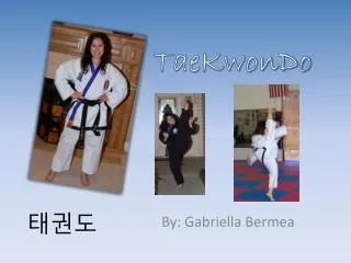 TaeKwonDo