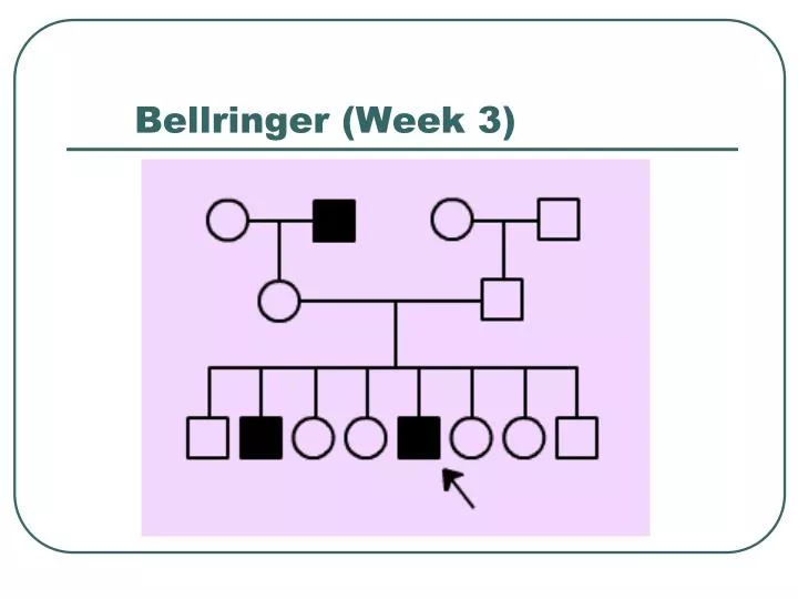 bellringer week 3