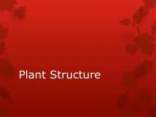 Plant Structure