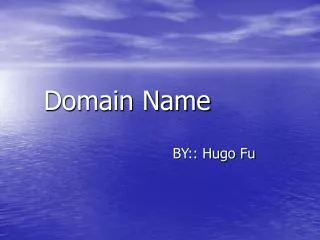 Domain Name