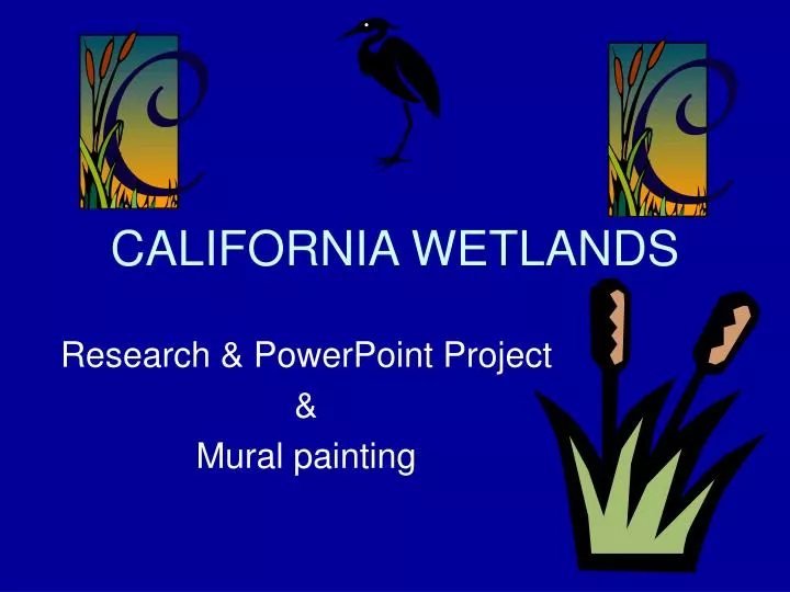 california wetlands