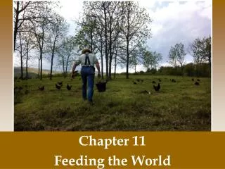 Chapter 11 Feeding the World