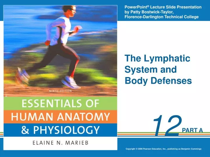 the lymphatic system and body defenses