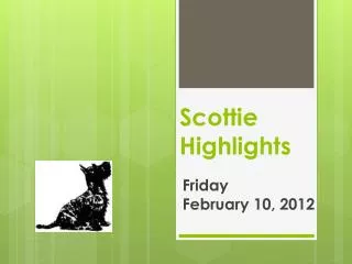scottie highlights