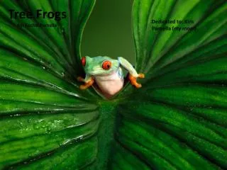 Tree Frogs By: Rachel Parnella