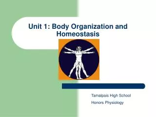 Unit 1: Body Organization and Homeostasis