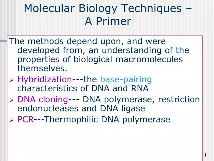 molecular biology techniques a primer