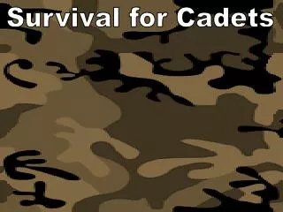 Survival for Cadets