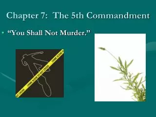 Chapter 7: The 5th Commandment